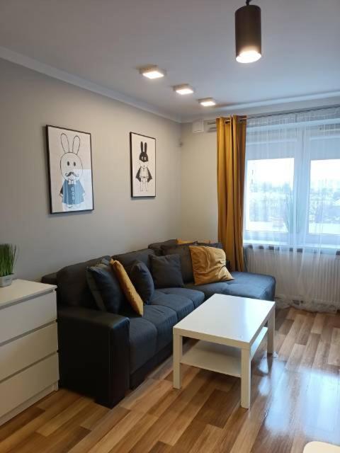 Family & Business Elegant Apartments Rynek Centrum Downtown - 2 Bedroom, Balcony, Parking Кельце Экстерьер фото