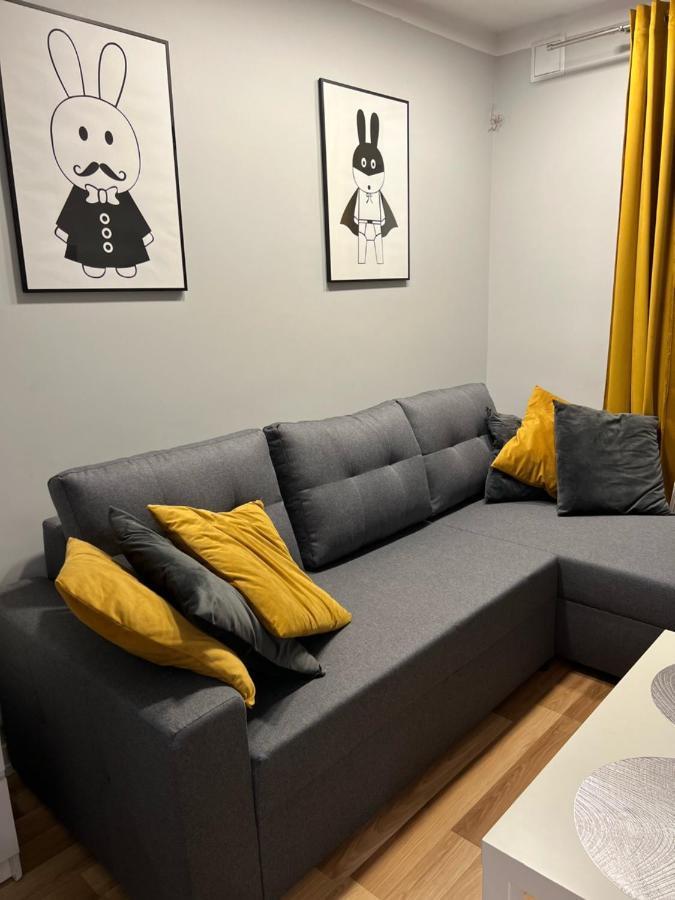 Family & Business Elegant Apartments Rynek Centrum Downtown - 2 Bedroom, Balcony, Parking Кельце Экстерьер фото